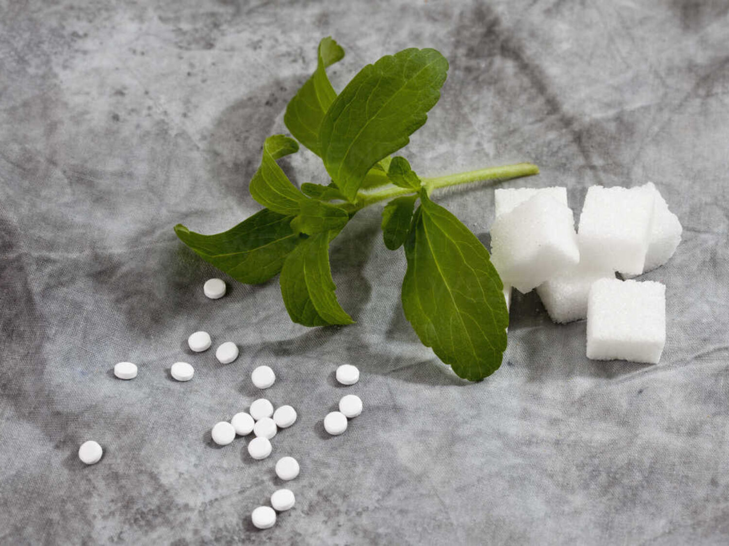 Stevia rebaudiana with cubes of sugar and sweetener tablets on textile